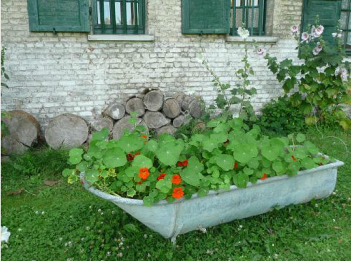 Manoir De Bois En Ardres Bed and Breakfast Buitenkant foto